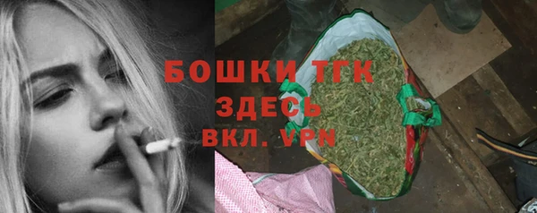 PSILOCYBIN Белокуриха