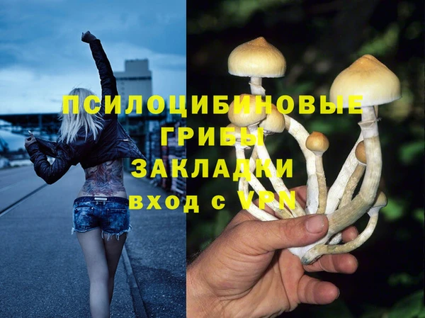 соль ск Алексин