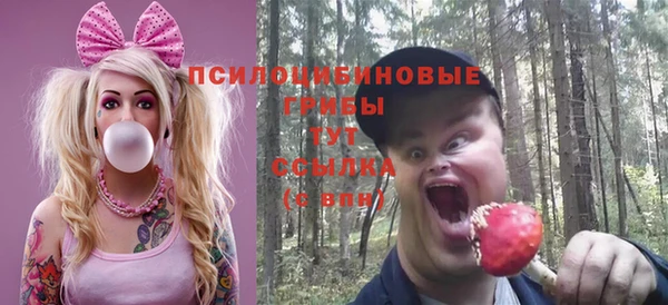 соль ск Алексин