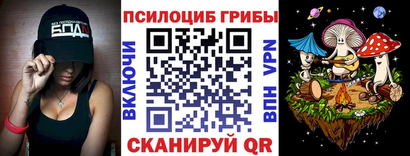 купить  сайты  Алексин  Галлюциногенные грибы MAGIC MUSHROOMS 